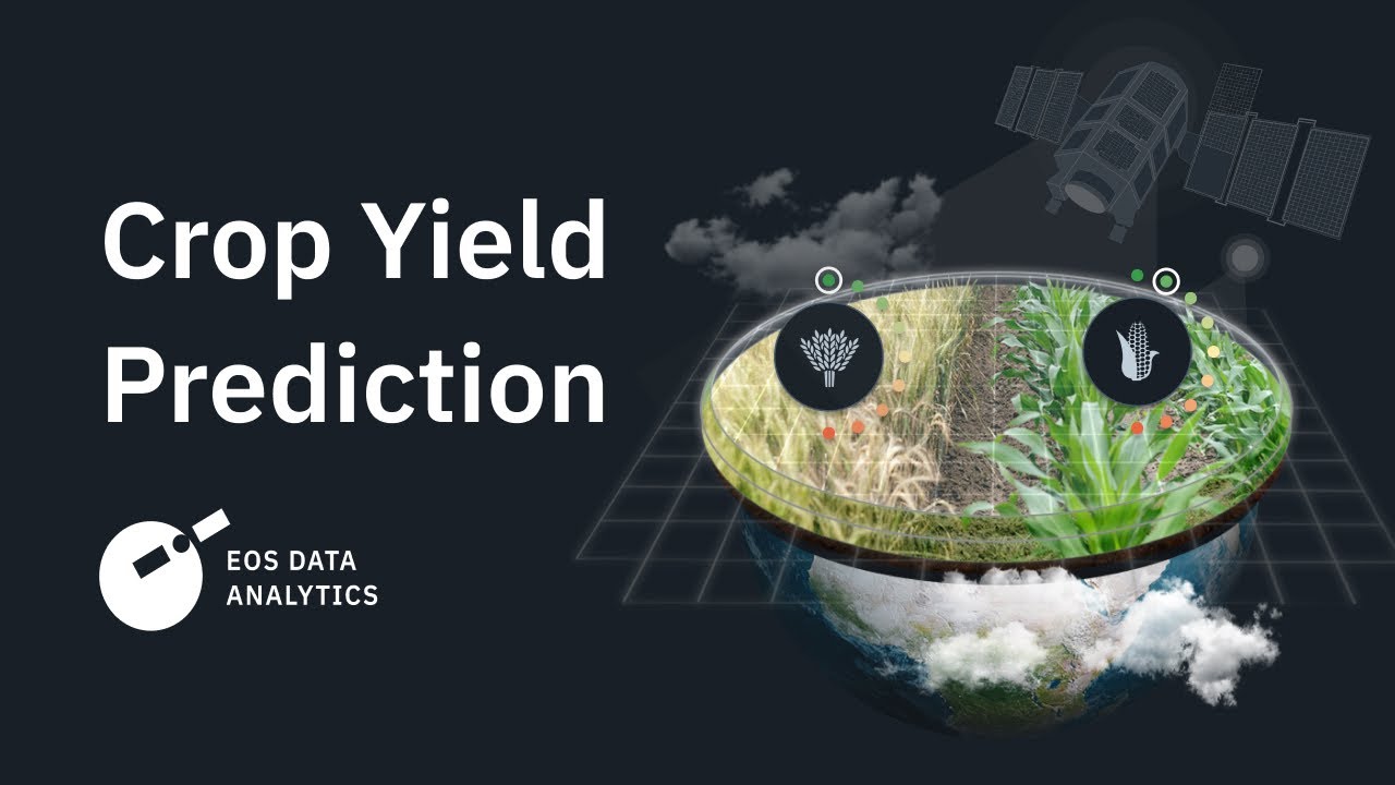 video about our yield prediction solution